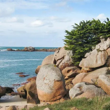 Homerez - Holiday Home Tossen Ruguel, 米尼亚克-特雷吉耶 — 照片 5