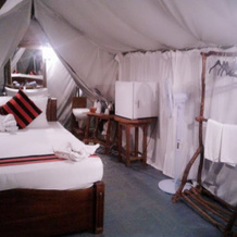 360 Rainforest, Poddana — photo 2