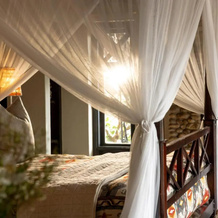 Jumeirah Thanda Safari, 姆库泽 — 照片 5