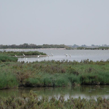 Villetta Lagomare, Comacchio — photo 5