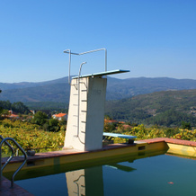 Quinta da Calçada, Melgaco — photo 5