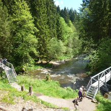 Schwarzwaldhof Nicklas, 邦多夫 — 照片 4