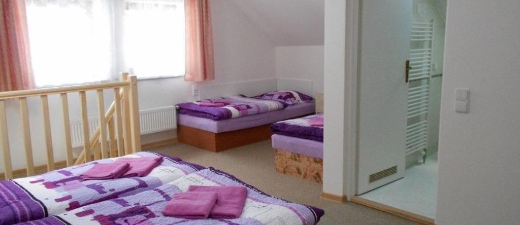 Apartment U Erlebachů, Черный Дул — фото 1
