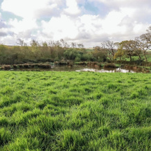 Lake View, Newquay — photo 4