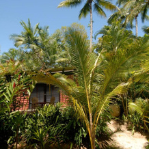 Sejala Beach Huts, 米申海滩 — 照片 4