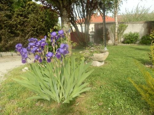 Chambre d'hotes Floralia, 莱诺埃-普雷-特鲁瓦 — 照片 1