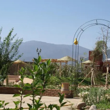 Les Jardins de Bouskiod, Sidi Badhaj — photo 5