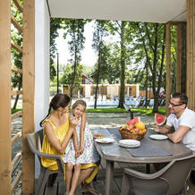Tisza - Parti Thermal Bungalow, 蒂萨凯奇凯 — 照片 2