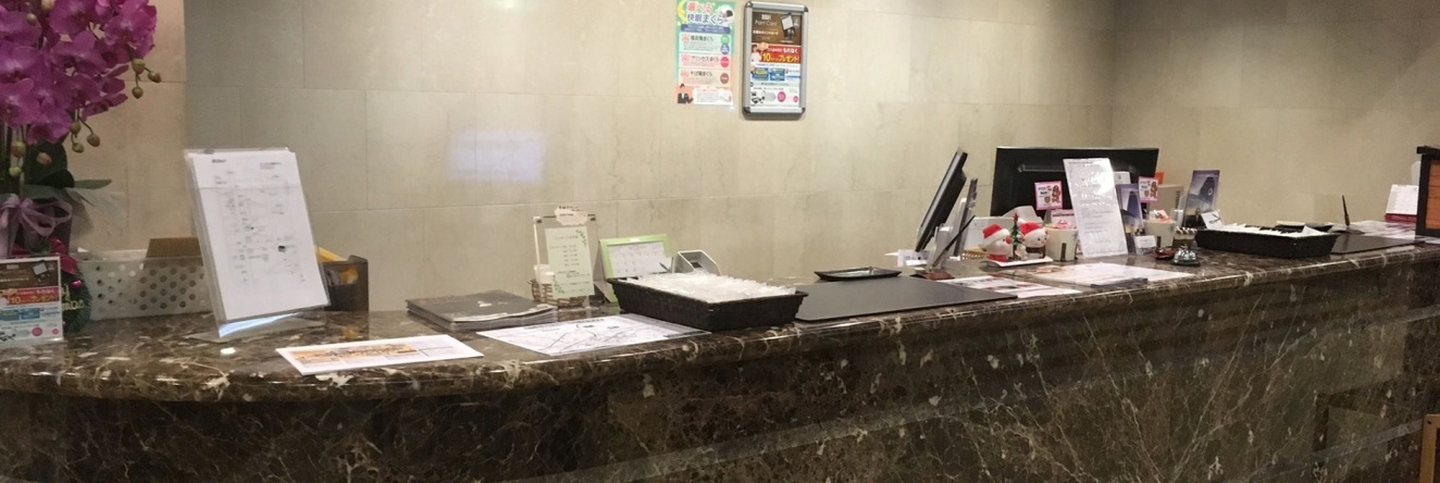 Oustat International Hotel Tajimi, 多治见 — 照片 1