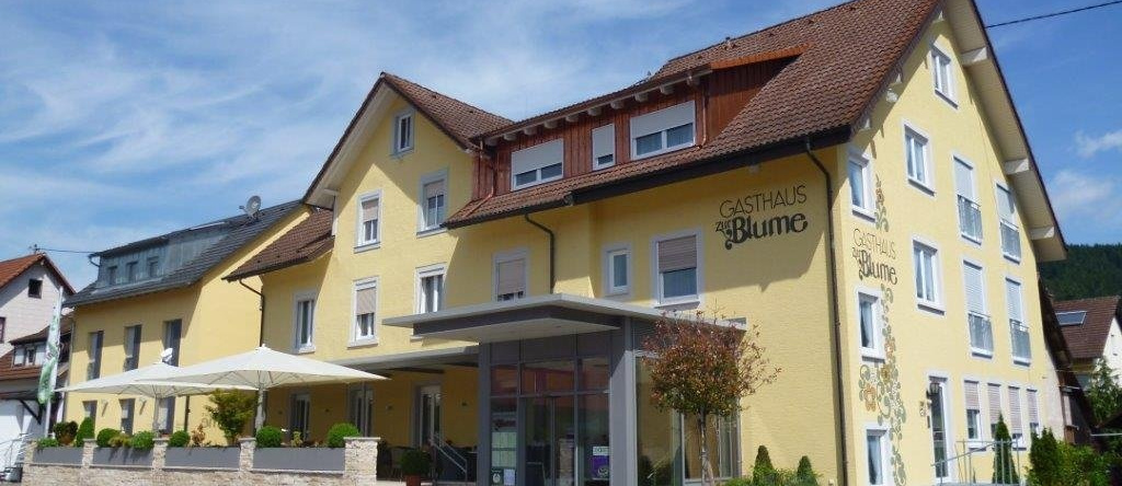 Gasthaus Zur Blume, 豪萨赫 — 照片 1
