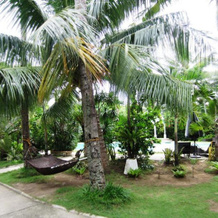 Sunshine Shin Beach Resort, 达瑙 — 照片 4