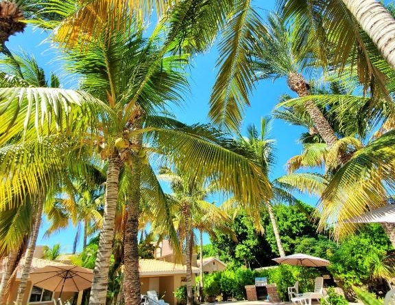 Coco Cabañas & Casitas Vacation Rentals, Loreto — photo 1