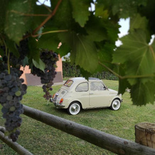 Agriturismo La Soglia Del Parco, Ranica — photo 4