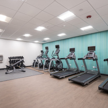 Holiday Inn Express & Suites Chicago - Hoffman Estates, Хоффман-Эстейтс — фото 4