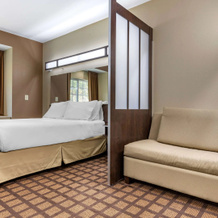 Microtel Inn & Suites By Wyndham Sylva Dillsboro Area, 迪尔斯伯勒 — 照片 5
