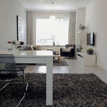 Apartment Enschotsestraat, Tilburg — photo 3