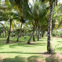 Domaine Des Oiseaux Réunion, Сент-Андре — фото 5