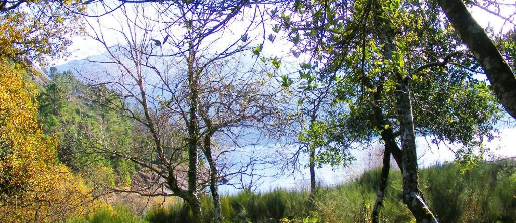 Casa da Mota, Vilar — photo 1