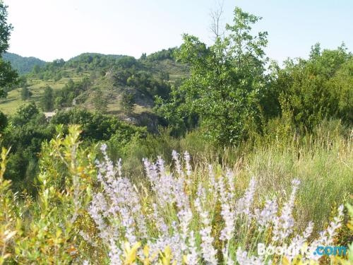 Camping Domaine du Verdon, 卡斯特拉讷 — 照片 1