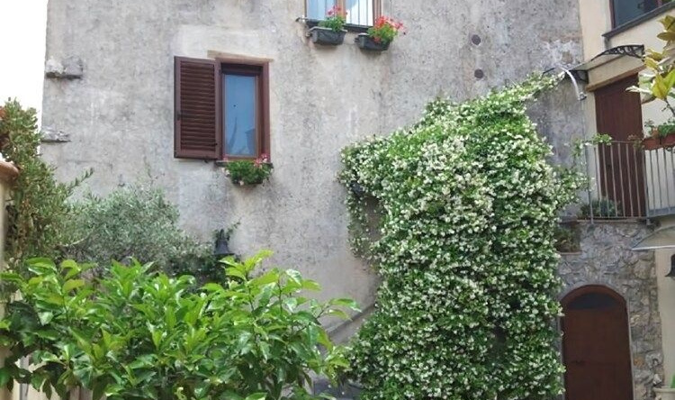 B&B Il Melograno, 托尔托雷拉 — 照片 1