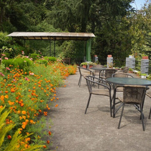 1 BR Boutique stay in Ana-Shakti Ashram, kausani, Bageshwar (408F), by GuestHouser, 巴盖什瓦尔 — 照片 5