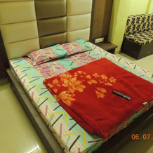 Hotel Ellora, 安巴吉 — 照片 5
