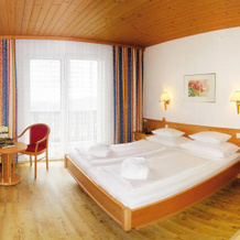Hotel Alpengasthof Hochegger, Wolfsberg — photo 4