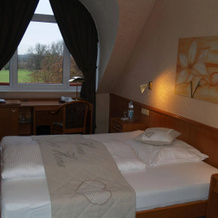 Hotel Bauschheimer Hof, Ruesselsheim — photo 2