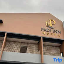 Padi Inn Hotel Purwodadi, 普沃达迪 — 照片 2