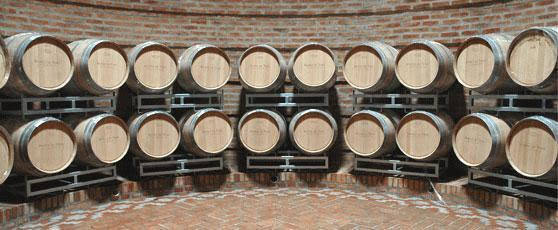 Valle Perdido Wine Resort, Neuquen — photo 1