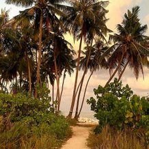 Isla Dhiffushi, Остров Миру — фото 2