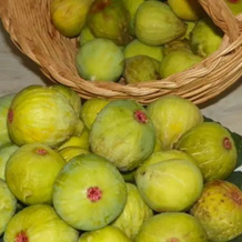 B&B Le Gatte, Prignano Cilento — photo 2