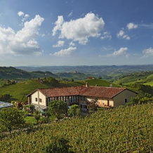 Amalia Cascina in Langa, Monforte d'Alba — photo 2
