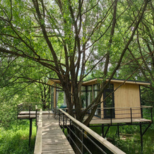 Dom na dereve Guest house, Ves'kovo — photo 2