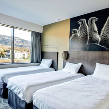 Ibis Styles Saint Julien En Genevois Vitam, Недан — фото 3