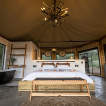 Sasi Bush Lodge, 亚赫斯鲁斯特 — 照片 2