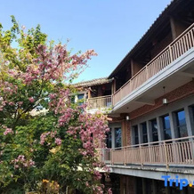 Huangyao Flowers Ocean Hotel, Хэчжоу — фото 5
