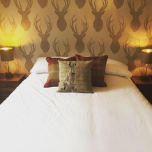 The Woodman Inn, Royston — photo 5