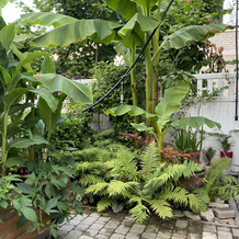 Kasa de la Luz Guest House, 阿尔希波-奥西波夫卡 — 照片 4