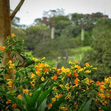 Eco Granja Sostenible Don Lolo, 克萨达 — 照片 2