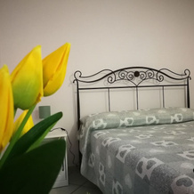 Villa Nora, Marzano Appio — photo 4