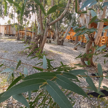 Baza Otdykha Nart Hotel, 肯德格 — 照片 4