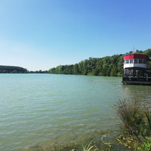 Appt 7 les clés du Gers - hameau du lac, 马尔西亚克 — 照片 3