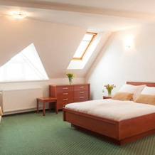 B&B Vila Otočec, Ново Место — фото 3