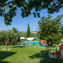 Tenuta Sant'Apollinare, 蒙达伊诺 — 照片 5