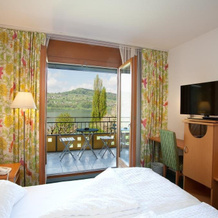 Seehotel Delphin, Meisterschwanden — photo 4
