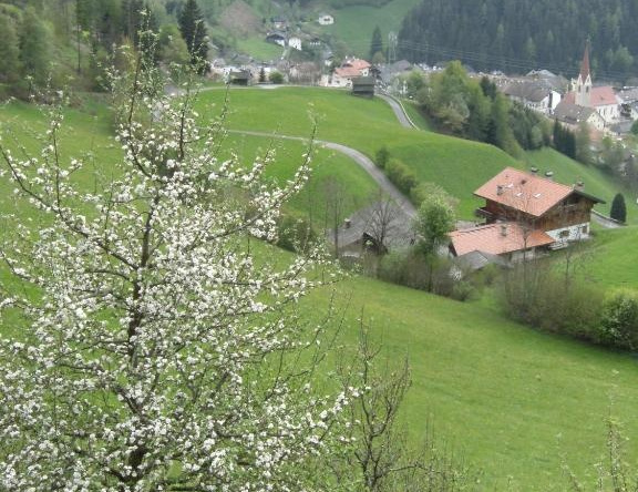Gedrarzerhof, Luson — photo 1