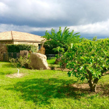Clos Simoni, 菲加里 — 照片 2