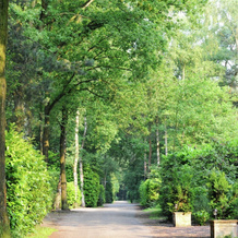 Chalet in Parc de Kievit With Large Garden, 巴勒纳绍 — 照片 4