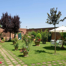 Villa Vignacce, 锡纳伦加 — 照片 5